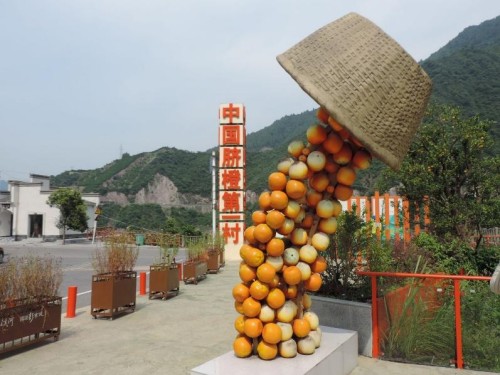  武漢東湖學院“小橙故事”實踐隊探訪秭歸臍橙第一村 解碼智慧農業新實踐