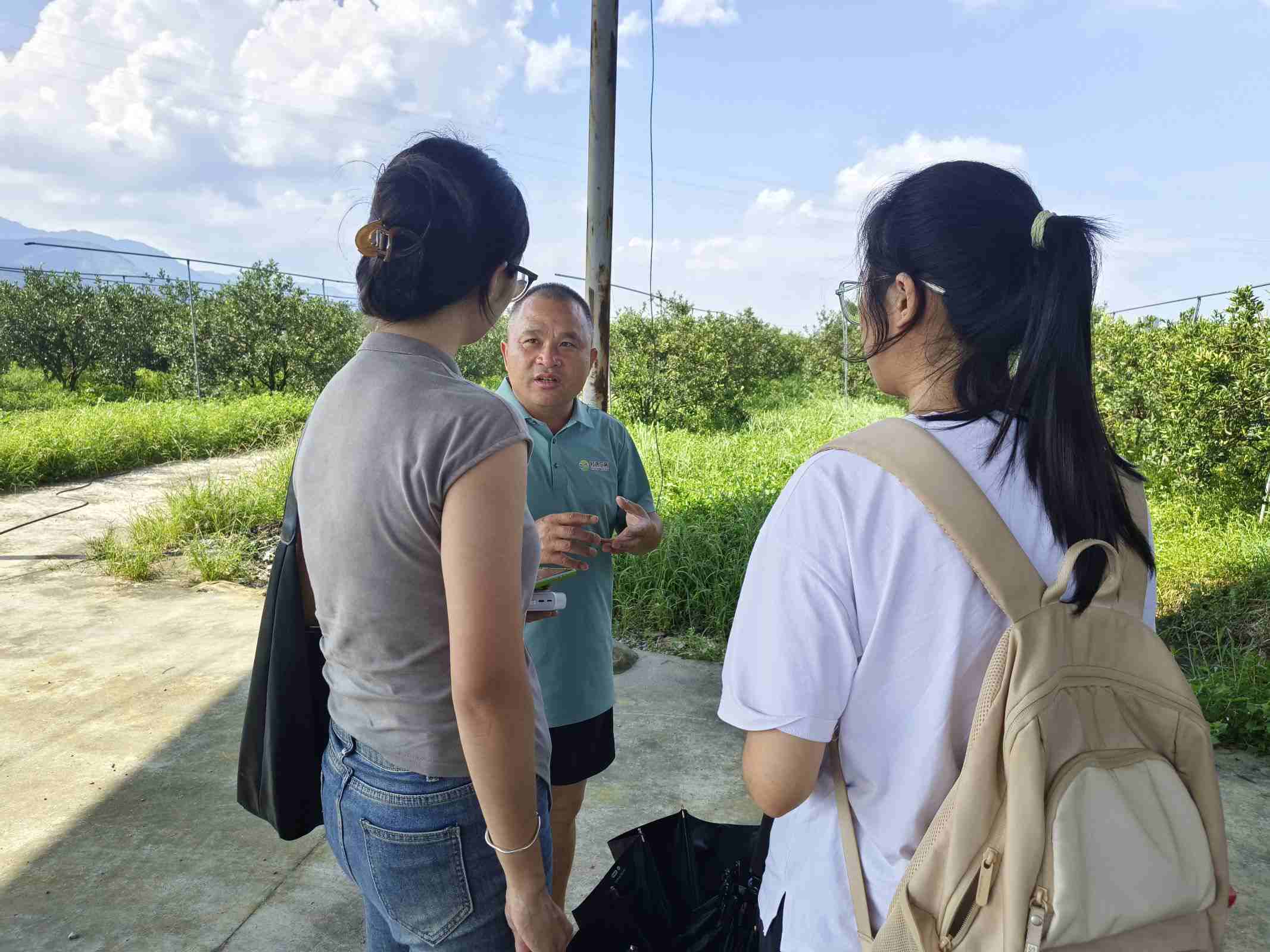 融安金桔：河勒村農業(yè)核心技術引領新質生產力飛躍