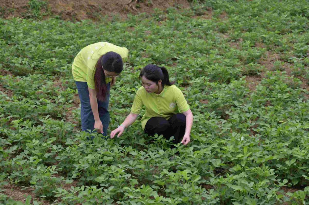 科技文化下鄉(xiāng)，賦能鄉(xiāng)村發(fā)展——西南石油大學“豆福千家”團隊 三下鄉(xiāng)