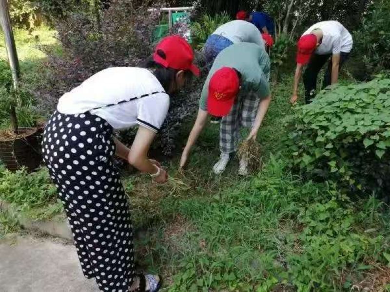 豫北醫(yī)學(xué)院“心連心共護(hù)家園”實(shí)踐隊(duì)：炎炎夏日送清涼，環(huán)保行動(dòng)展風(fēng)采