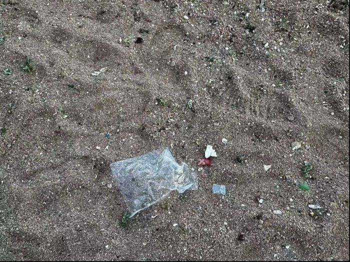 山東大學“滌沙先鋒”調研團