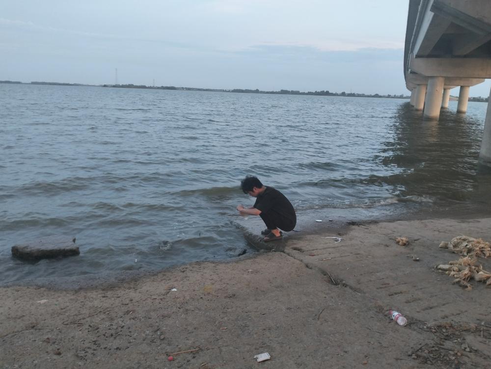 社會(huì)實(shí)踐心得：探索環(huán)境問題與公共參與