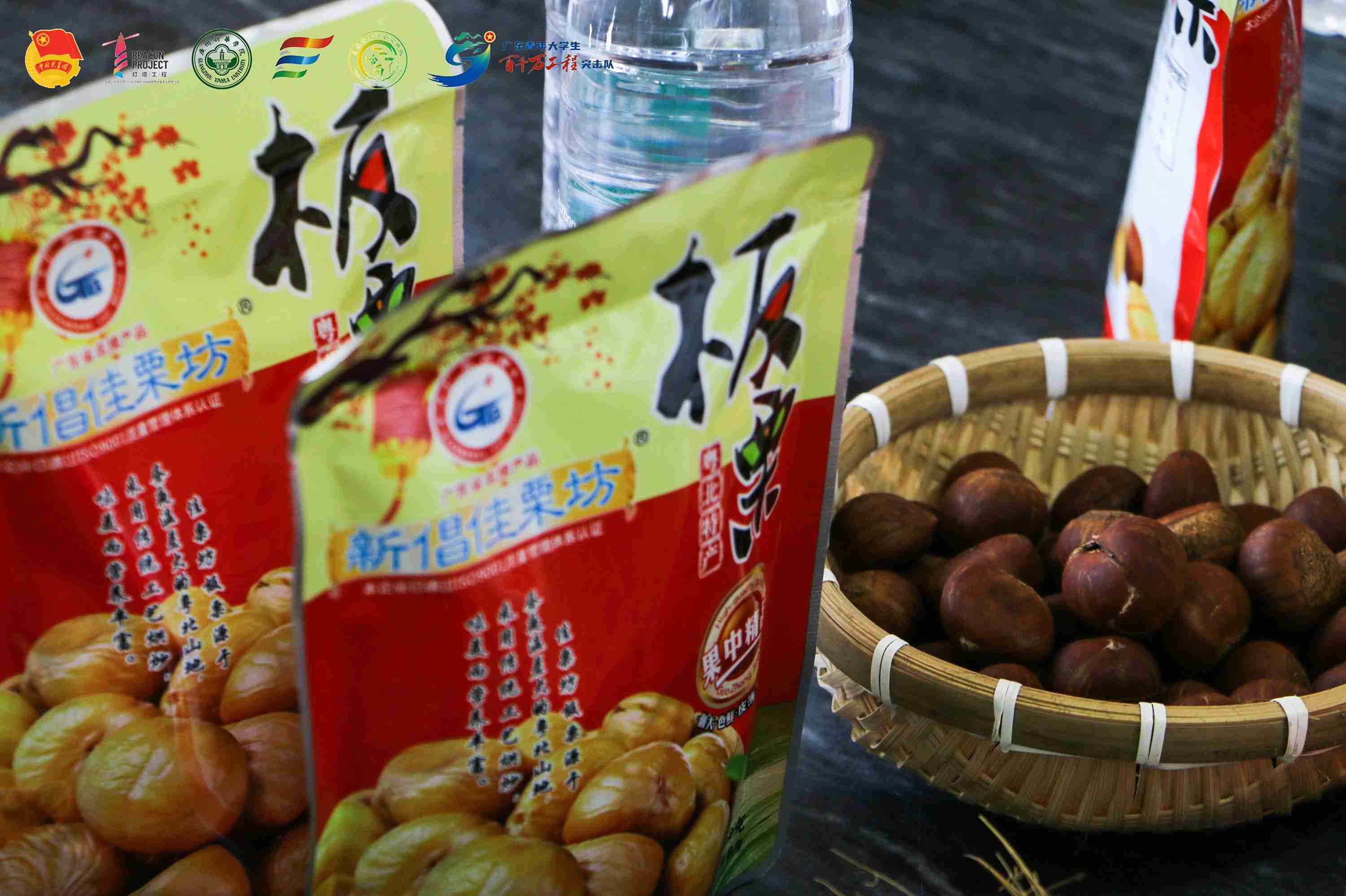  “栗”爭上游產業興旺，興產富農“栗”創未來