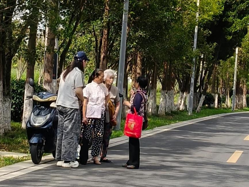 下鄉(xiāng)研土地根脈，螢火助鄉(xiāng)村振興