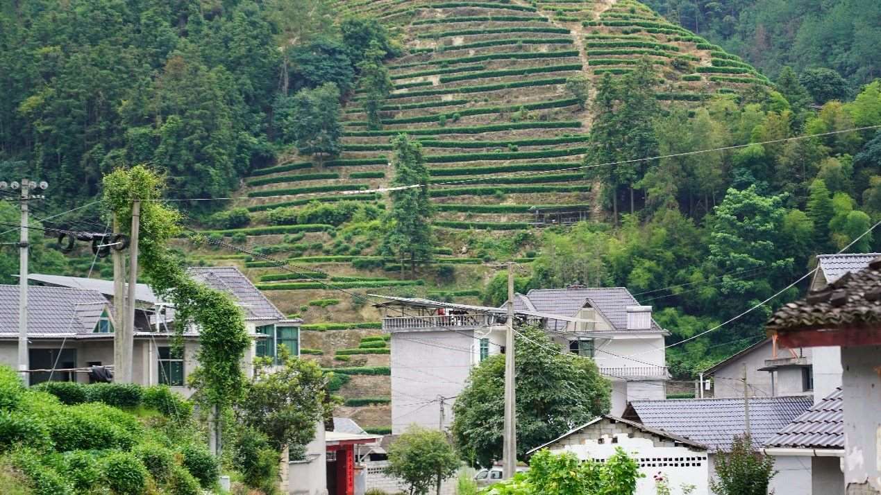 浙江工商大學(xué)初“芯”智治實(shí)踐團(tuán)深入松陽鄉(xiāng)村展開走訪調(diào)研