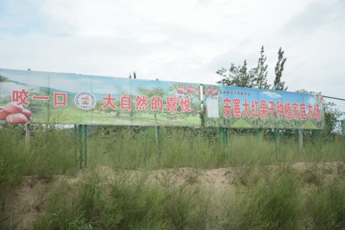 數字人直播助力破解農產品銷售困局——大學生實踐團隊走訪延安致富帶頭人紀實