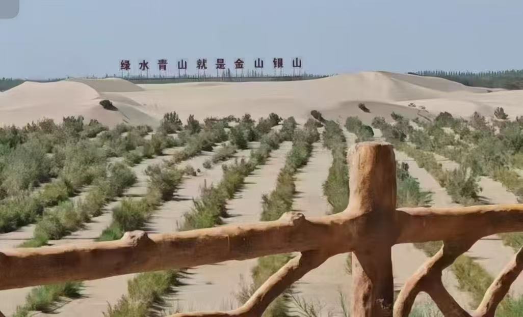 青春聚力沙海織綠：生命科學與技術學院暑期三下鄉實踐團探秘麥蓋提“生態－民生”協同發展之路 芯生命·沙海織綠·生態共謀 生態實踐團