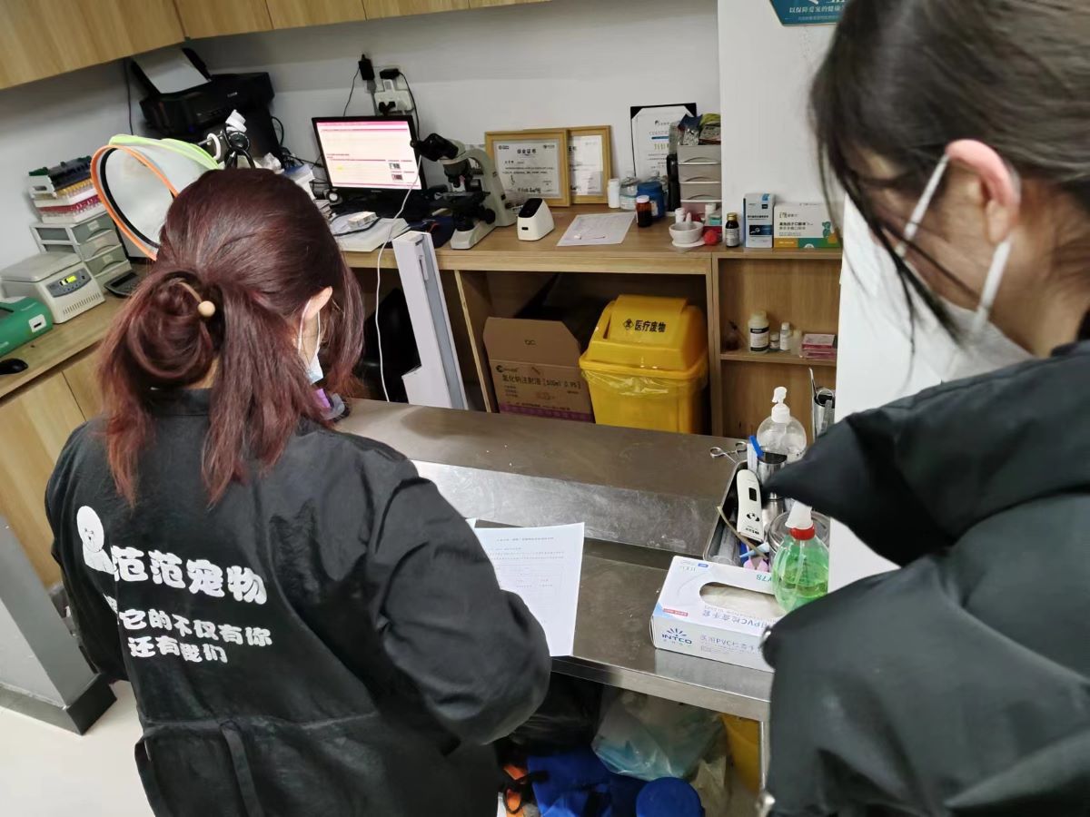 山東大學殼膜智匠實踐調研團前往邯鄲市寵物醫(yī)院實地調研