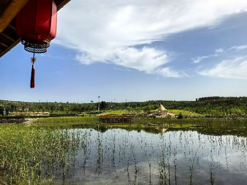 綠色轉型與民生發展的實踐探索——陜西省神木市大柳塔鎮與神東生態示范基地