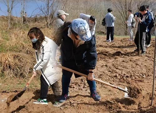 西安交通大學電氣、能動、經金學院和南洋書院聯合開展植樹活動