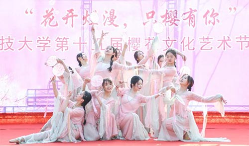 花開(kāi)燦漫繪新圖，櫻色滿園迎佳節(jié)