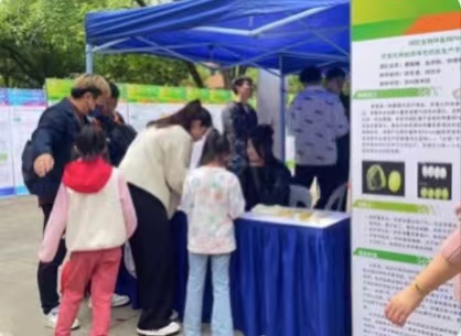 蘇大學(xué)子成功研發(fā)“絲綿一號(hào)”新型蠶品種