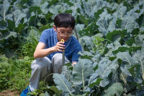 新農(nóng)人、新思路 帶農(nóng)走上新道路——記天津工業(yè)大學(xué)光雨潤禾團隊謝志明